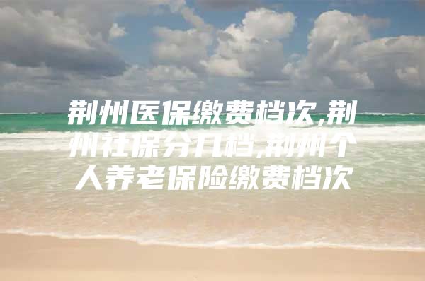 荊州醫(yī)保繳費檔次,荊州社保分幾檔,荊州個人養(yǎng)老保險繳費檔次