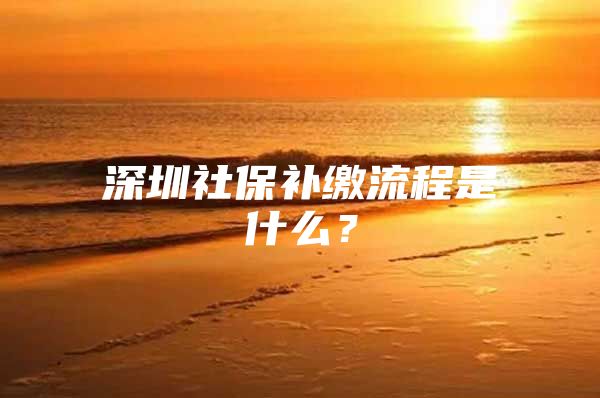 深圳社保補繳流程是什么？