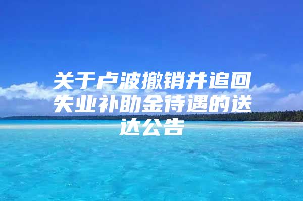 關(guān)于盧波撤銷并追回失業(yè)補助金待遇的送達公告