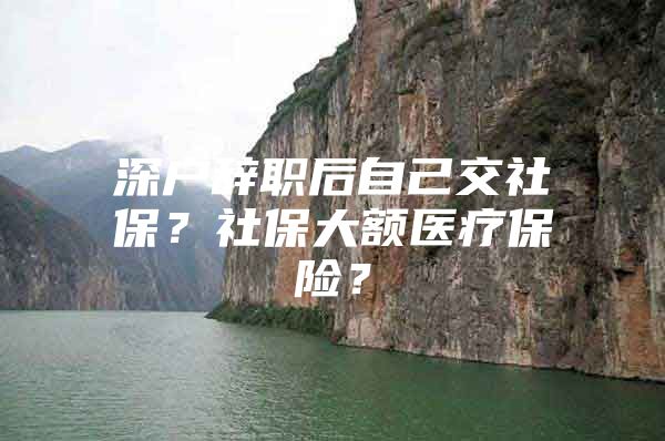 深戶辭職后自己交社保？社保大額醫(yī)療保險？