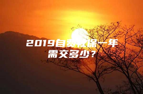 2019自費(fèi)社保一年需交多少？