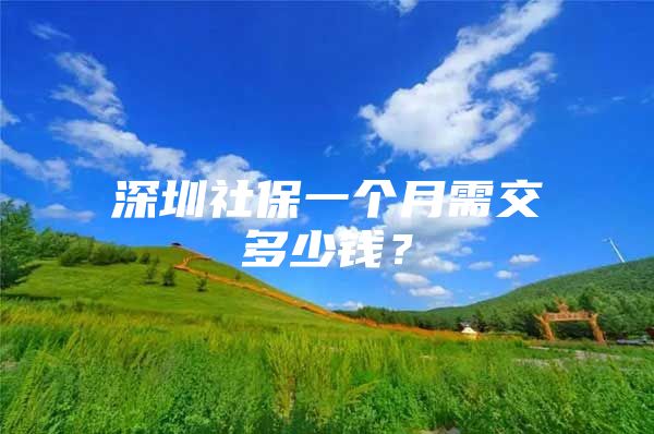 深圳社保一個(gè)月需交多少錢？